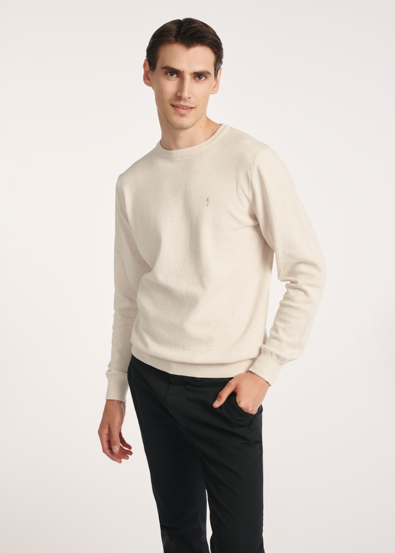 Béžový bavlnený pánsky sveter SWEMT-0114A-80(Z25), pohľad spredu na produkt na modelke, viditeľná polovica siluety.