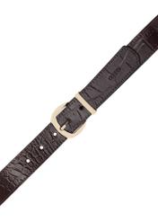 Dámsky opasok z hnedej krokodílej kože PASDS-0322-1I(W26), pohľad zhora na produkt na bielom pozadí.