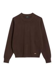 Dunkelbraunes Damen-Sweatshirt aus Viskose BLZDT-0117-1I(Z26) - Vorderansicht des Produkts, auf weißem Hintergrund.