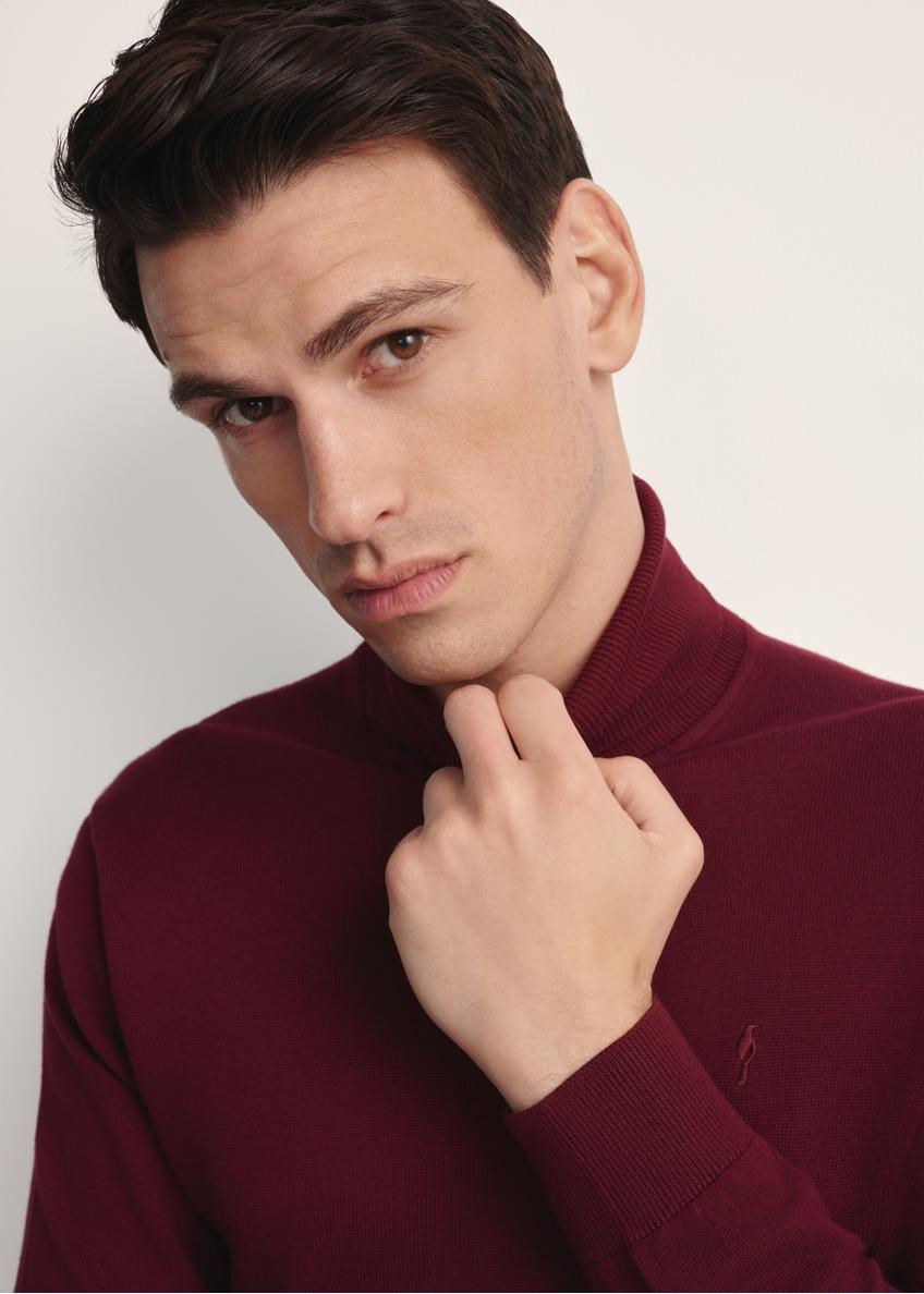 Bordový pánsky sveter s rolákom SWEMT-0095B-49(Z25)